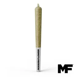 Cheesequake Single Pre-Roll from  product image