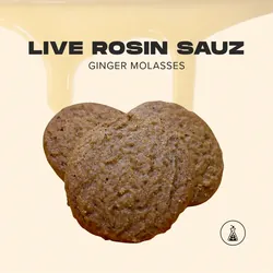 Live Rosin Sauz Ginger Molasses Cookies - 10 Pack | 100mg from  product image
