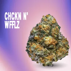 CHCKN N WFFLZ from  product image