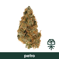 Petro from  product image