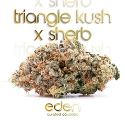 Triangle Kush x Sherb from  product image