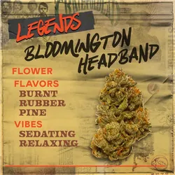 Bloomington Headband - 3.5g Flower from  product image
