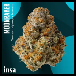 Large Pack Flower - Pave from  product image