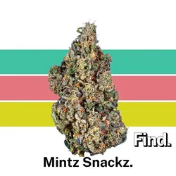 Mintz Snackz from  product image