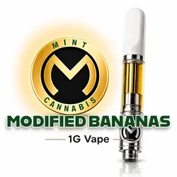 Mint Premium - CO2 1.0g Vaporizer - Symbiote from  product image