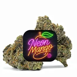 Neon Mango from  product image