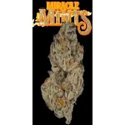 Miracle Mints Eighth from  product image