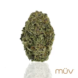 Blueberry Muffins from  product image