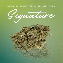 Yummy Signature - 3.5g from  product image