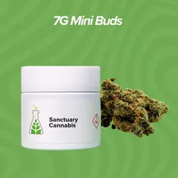 Jungle Grapes Mini Buds - 7g from  product image
