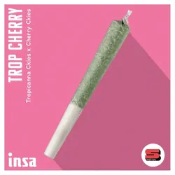 Pre-Roll - Trop Cherry from  product image