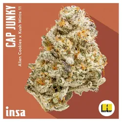 Flower - Cap Junky from  product image