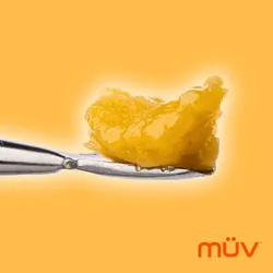Honeydew Badder from  product image