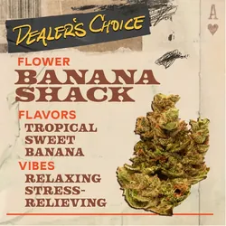 Banana Shack - 3.5g Flower from  product image