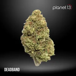 Deadband 3.5g Pouch Tier 1 from  product image