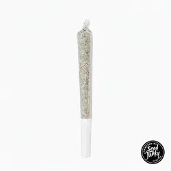 Tropical Burst Single Pre-Roll from  product image