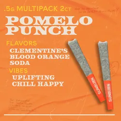 Pomelo Punch - 2ct Pre Rolls from  product image