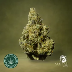 GMO from  product image