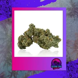 96 Sur Diesel from  product image