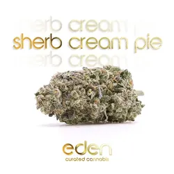 Sherb Pie -  cannabis product