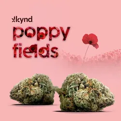 Poppy Fields -  cannabis product