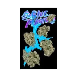 Blue Magic 7g Juniors from  product image