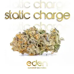 Static Charge 7g from  product image