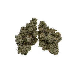 London Zawtz from  product image