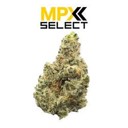 MPX Select™ Strawberry Limeade Flower from  product image