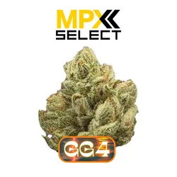 MPX Select Gorilla Glue 4 Flower from  product image
