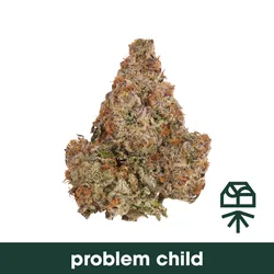 Problem Child from  product image