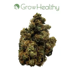 Sour Diesel GMO Flower from  product image