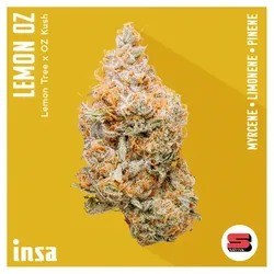 Flower - Lemon OZ from  product image