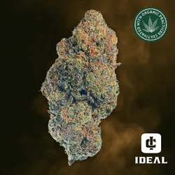 Double Banana Fuel -  cannabis product