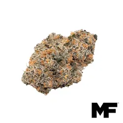 GMO Lato Flower from  product image
