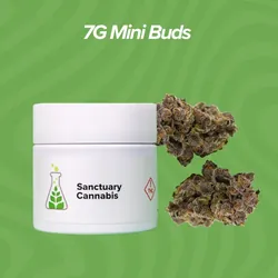 Head Mount Mini Buds - 7g from  product image