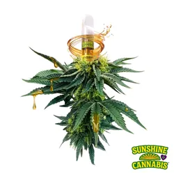 Peace River OG Vape Cart CDT .5G from  product image