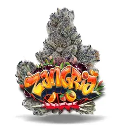 Zangria - Premium Flower from  product image