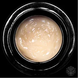 Papaya Cake Cold Cure Live Rosin from  product image