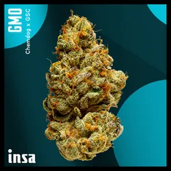 Large Pack Flower - Pave from  product image
