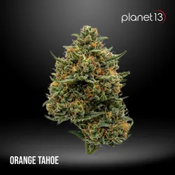 Orange Tahoe 3.5g Pouch Tier 2 from  product image
