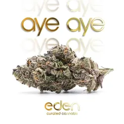 Aye Aye from  product image