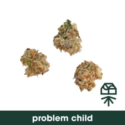 Problem Child from  product image