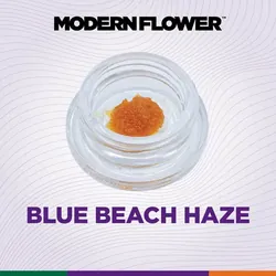 Blue Beach Haze Live Resin from  product image