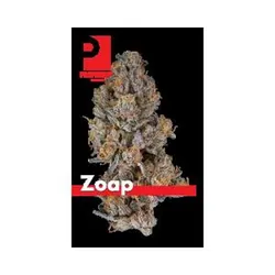 Zoap Eighth from  product image