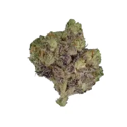Hypnotik from  product image