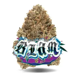 BLAM  - Premium Flower from  product image