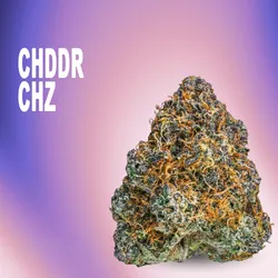 Cheddar Cheeze from  product image