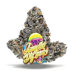Amaretto Di Limon - Premium Flower from  product image