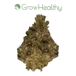 Cookie Dog Flower from  product image